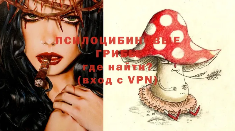 Галлюциногенные грибы MAGIC MUSHROOMS  Бологое 