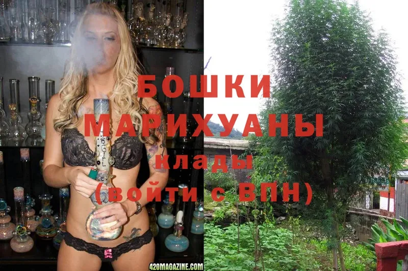 Марихуана SATIVA & INDICA  наркота  Бологое 